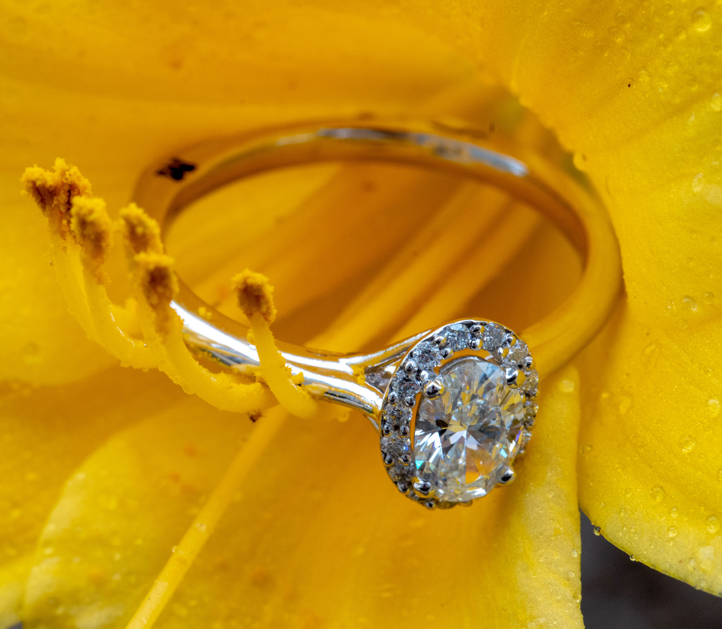 Oval Diamond Custom Engagement Ring